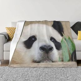 Blankets FuBao Panda Fu Bao Blanket Winter Warmth Hypoallergenic Throw For Bedroom Room Decor