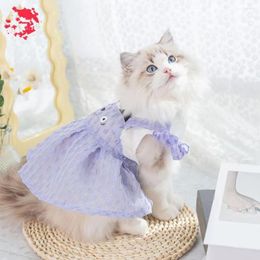 Dog Apparel Cat Princess Dress Ruffle Edge Summer Pet Two-legged Chihuahua Costume