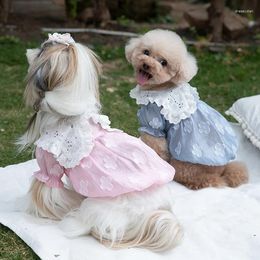 Dog Apparel Spring/Summer Embroidered Collar Tulle Skirt Pet Pumpkin Dress Clothes Dogs Clothing Cute Teddy Chihuahua Cat