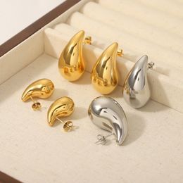 Premium design Chubby Drop earrings INS Fashion stainless steel hollow earrings Geometric all-matching stud earrings niche