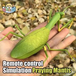 RC Animal Robot Antistress Insect Toys Infrared Simulation Spider Bee fly mantis Electric Toy for Children Prank Insects pet toy 240508