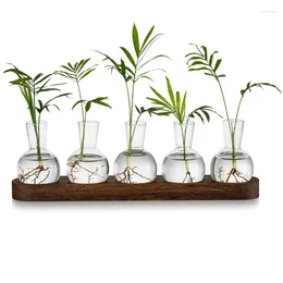 Vases Plant Terrarium Propagation Station Glass Planter Bulb Vase With Wooden Tray Modern Bud For Living Room Office