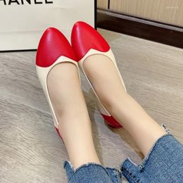 Casual Shoes For Women 2024 Autumn Fashion Round Toe Comfortable Flat Bottom Shallow Cut Colour Matching