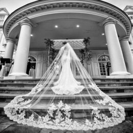 Cathedral Chapel Ivory White Wedding Bridal Veils Lace Simple With Comb Bride 2T 3m Long Customised 278b