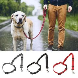 Pet Car Seat Belt Adjustable Two-in-1 Car Seat Leash Dog Harness Lead Clip Safety Lever Traction Cat Dog Collars Pet Accessories 240516