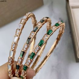 Top Quality Snake Bangle Diamond Gold Plated Jewelry Woman Stainless Steel Agate Fritillary Bracelet Luxury Designer Aaaaa Fashion Premium Gift 51gk