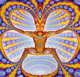 poster 24x24quot 13x13quot Trippy Alex Grey Wall Poster Print Home Decor Wall Stickers poster Decal0588421964