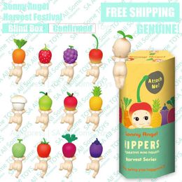 Blind box Sony Angel Harvest Hippers Blind Box Confirmation Style Authentic Cartoon Doll Screen Decoration Birthday Gift Mysterious Surprise WX WX