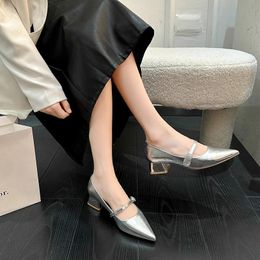 Silver Mary Jane Single Shoes SpringSummer Pointed Low Thick Heels Womens High Grade One Belt 240514