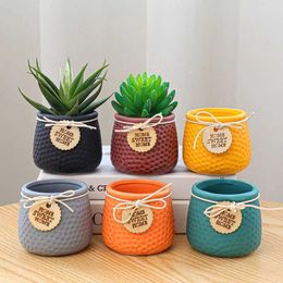 Planters Pots Colorful Mini Flower Pot Ceramic Succulent Pot Plant Pot Planter Bonsai Home Decor Indoor Decoration Desktop Ornaments J240515