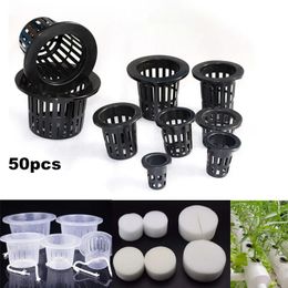 50pcs hydroponic anhydrous mesh basket plant Veg growth nursery cup pot sponge tray Aeroponic Veg plant clone colony q1 240514