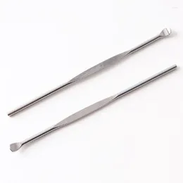 Party Favour Ear Pick Steel Stainless Wax Earwax Curette Remover Handle Cleaner Tool Earpick Spoon Cleaning Health Care Gift