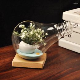 Vases Creative Lamp Bulb Glass Moss Ecological Bottle Clear Hanging Micro-landscrape Plant Hydroponic Desktop Ornaments