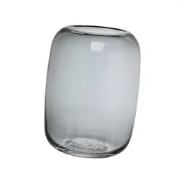 Vases Glass Flower Vase Simple Modern For Coffee Table TV Cabinet Living Room
