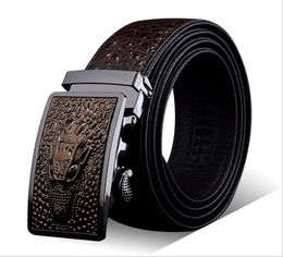 Luxury Mens Belt Whole Alligator Embossed Plaque Buckle Cowskin Genuine Leather Ratchet Belt 3D Crocodile Pattern Jeans Belts 1968000