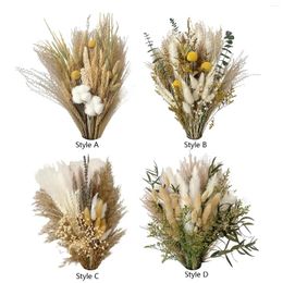 Decorative Flowers Natural Dried Flower DIY Chic Rustic Ornament Dry For Office Party Table Centerpiece Arrangements Desk