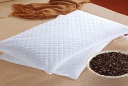 buckwheat pillow semen cassiae pillow Neck vertebra protect 100 cotton fabricquilting pillow case out side5033272