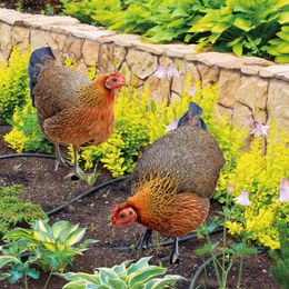 Garden Decorations Decorative Inserts Japanese Courtyard Chicken Simulation Signs Outdoor Decoration Lawn Stakes Animal