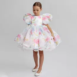 Girl Dresses 2 3 4 5 6 7 8 Years Puffy Sleeve Girls Dress Summer Princess Baby Christmas Costume Birthday Party Gift Kids Clothes