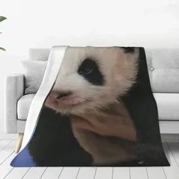 Blankets FuBao Panda Fu Bao Blanket Super Warm Anti-pilling Flannel Throw For Durable Long-Lasting Room Decor