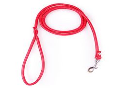 2020 New Dog Leashes Strong PU Leather Soft Small Size For Dog Chihuahua Walking Collar Leads Candy Colour Pets Product Supplier2219127894