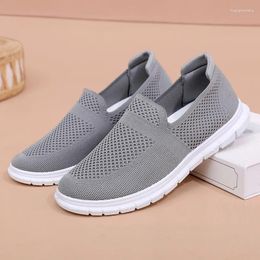 Casual Shoes 2024 Leisure And Comfortable Spring/Summer Grey Mesh Breathable Men's Soft Sole Middle Aged Elderly Dad Kicks On