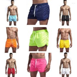 Men's Shorts 2024 Fashion Beach Polyester Multi Colour Sports Three Point Casual Cool