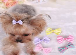 dog hair bows clip pet cat puppy grooming striped bowls for hair accessories designer 5 colors mix hh712621310296
