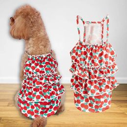 Dog Apparel Pet Dress Sling Fruit Print Fashionable Seaside Resort Style Bubble Cake Hem Cat Clothes Supplies