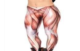 2014 Leggings for Women Muscles Black MIlk Leggings Plus Size pants FG15116719944