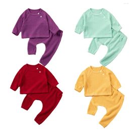 Clothing Sets Children's Clothes Baby Boys Girls Solid Long Sleeves Sweatshirt Pants Kids Casual Tracksuit
