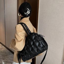 Bag Women's Pillow Handbag 2024 Spring Winter Korean Trend The Space Cotton Female Shoulder Down Jacket Fabric Messenger
