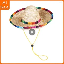 Dog Apparel Beach Party Straw Hats Stylish Unique Playful High Demand Colorful Ity Funny For Cats And Dogs Pet Accessories Fun