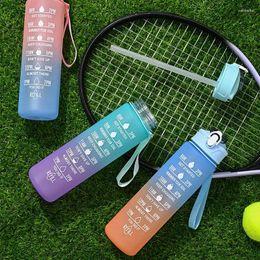 Water Bottles Carrying Rope 800ML Straw Space Cup Outdoor Large Gradient Frosted Plastic Sports Bottle With A Drinking Capacity