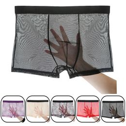 Mens Underwear Mens Ultra-thin Transparent Boxershorts Male Mesh Slips Homme Panties Boxer Shorts Comfortable Mens Underpants 240517