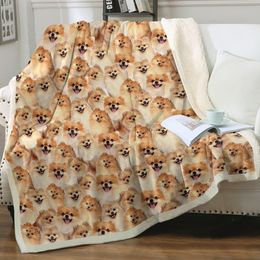 Pomeranian Sherpa Fleece Throw Blankets for Couch, Thick Warm Fuzzy Plush Reversible Blanket for All Seasons, 50x60 Inches