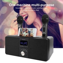 Microphones SD-309 Dual Wireless Microphone Bluetooth Speaker Mobile Karaoke Stereo Black 30W SDRD Set
