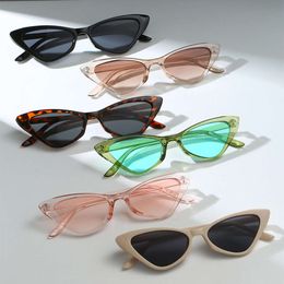Cat Eye Sonnenbrille für Frauen Männer Mode 2024 Designer Trendy Small Dreieck weibliche Sonnenbrille Party Eimer -Accessoire UV400 L2405
