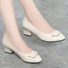 Dress Shoes Designer Genuine Women Leather Box Original Dress Shoes High Heels Womens S Lady Shoes Good Business Woman Suits Office Gowns Shoe Large Size Item ZY 57 s ui