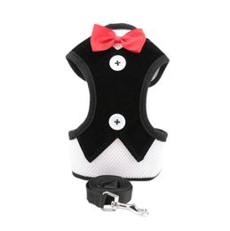 Small Dog Harness and Leash Set Pet Cat Vest Harness With Bowknot Mesh Padded For Small Puppy Dogs1359219
