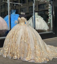 Şampanya Quinceanera Elbiseler Altın 3D Çiçek Çiçekleri Alet Dantel Prenses Balo Elbise Tatlı 16 Omuzdan Geri Dolum Dantel Up Prom Brithday Wear