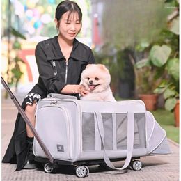 Dog Carrier Large Capacity For Dogs Isolation Partition Cage Dismantling Base Pet Cart Silent Pulley Car Travel Accessories