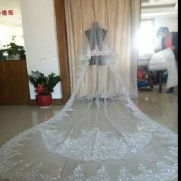 Best Selling Ivory White Wedding Veils 3 Metres Long Veils Lace Applique Crystals Two Layers Cathedral Length Cheap Bridal Veil Real Im 2250