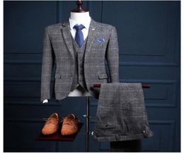 custom made New gray large plaid TR blend fabric exquisite slim men039s suit threepiece handcut coat pants Ves283t1651900