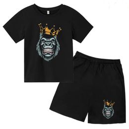 Kids Summer Short Sleeve T-shirt Boys Girls Toddlers 3-12Y Animal Gorilla Top Shorts 2P Cute Fun Pretty Girl Clothes Casual Set 240517