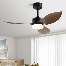 Electric Fan with Remote Control - Modern Simplicity Restaurant Fan Light in Black Ceiling Fan for Living Room and Indoor Use