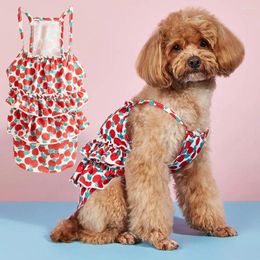 Dog Apparel Skirt Pet Dress Sling Fruit Print Breathable Clothing Seaside Resort Style Bubble Cake Hem Clothes