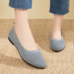 Casual Shoes Women's Ballet Flats Low Heel Barefoot Elegant Woman Sneakers Pointed Toe Daily Women Moccasine