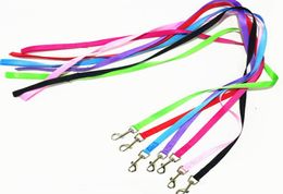 2021 Dog Leashes Cute Nylon Rope For Samll Cat Chihuahua Outdoor Walking Running Collar Leads Pet Products Supplier Reaction Color2211806