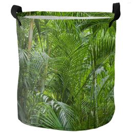 Laundry Bags Jungle Trees Green Plants Dirty Basket Foldable Waterproof Home Organiser Clothing Children Toy Storage